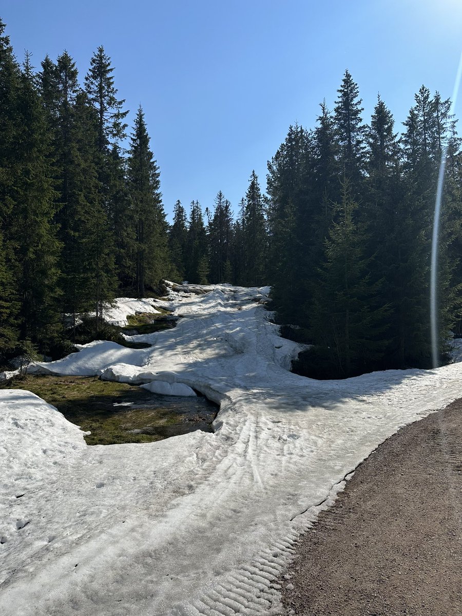 Skjennungstua tweet media