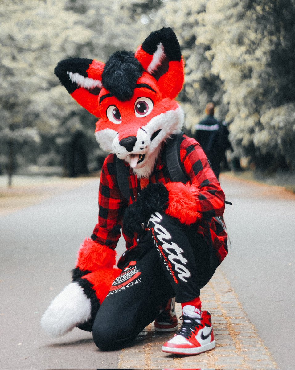 Daxter 🇨🇿 tweet media