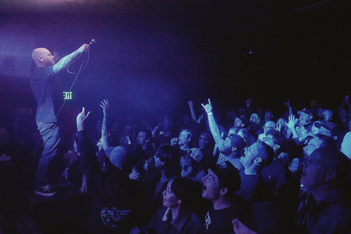 Chip Kalback tweet media