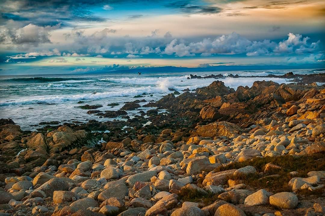 helloeuropa's tweet photo. Evening light over Monterey Bay by Pebble Beach.

#California #Coast #Houston #MontereyBay #Ocean #PebbleBeach #scenic #sunset #twilight #water #walldecor #landscapephotography  #californiaphotography #usa #CaliforniaAdventure https://t.co/RWSdMNgPzl