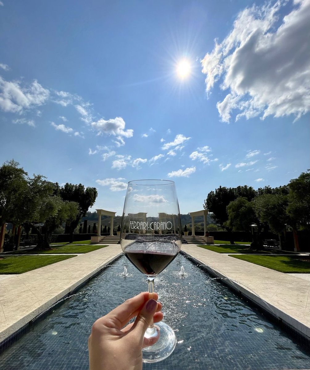 Foley Food & Wine Society tweet media