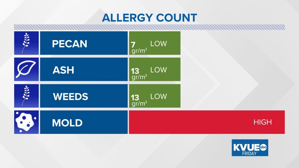 Austin Allergies tweet media