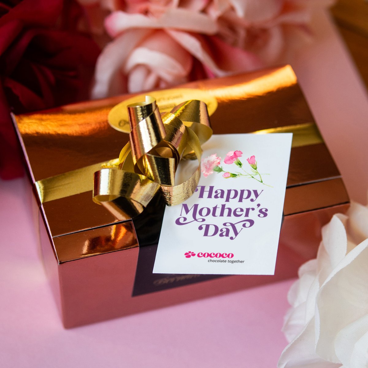 Cococo | Cocoa Community Confections Inc. tweet media