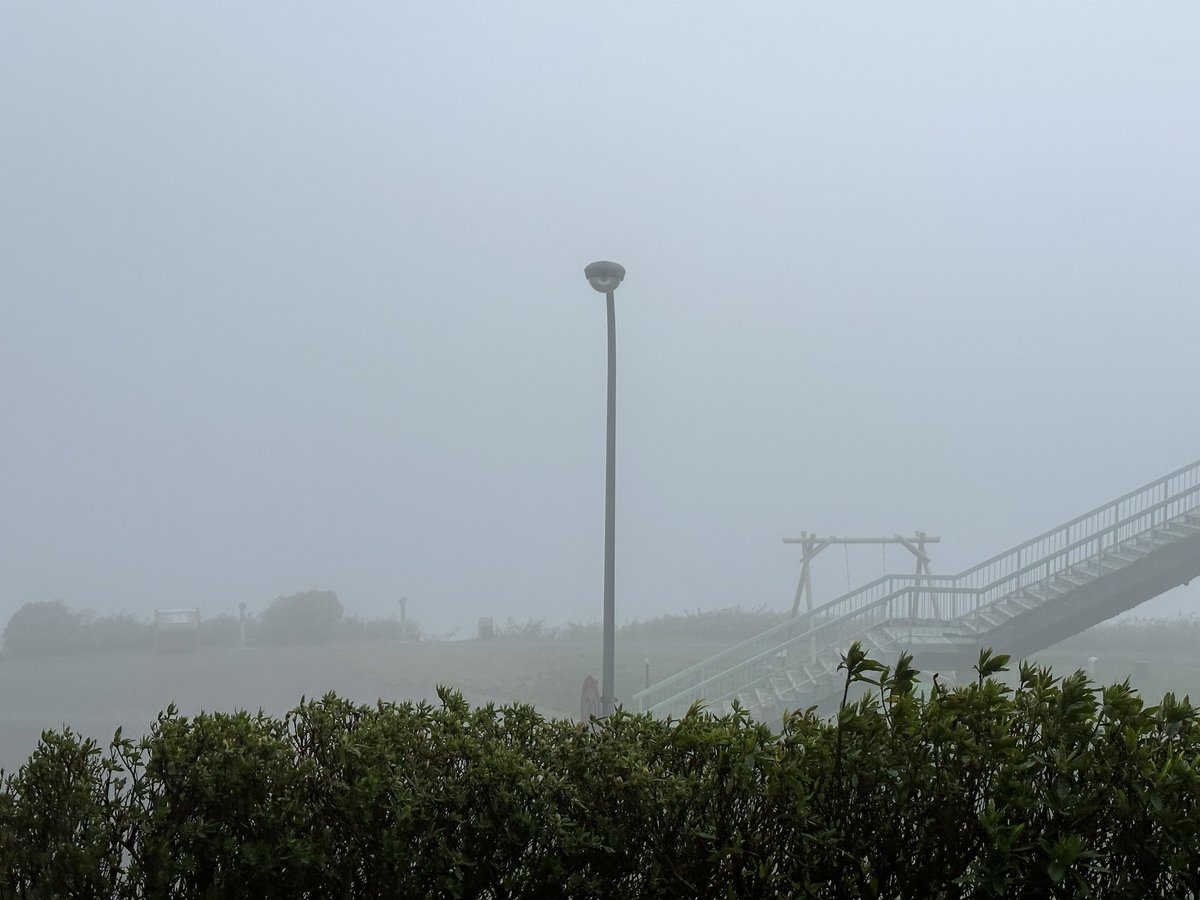 Naochaon's tweet photo. 渋滞を避けて土曜日に帰宅。
ターンパイクは霧で何も見えず寒かったです。
海老名JCTは混んでいたけど後は渋滞にかからずに無事に帰宅しました。 https://t.co/pEUIQOEOCt