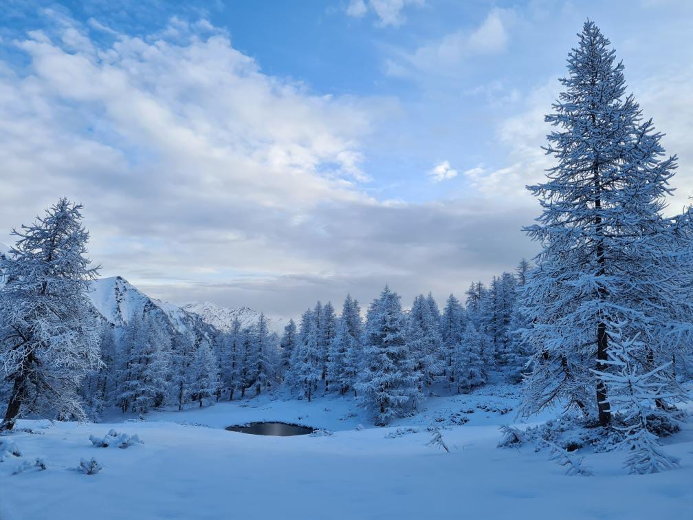 Valchisone2's tweet photo. #prali Stamattina ore 5,45
https://t.co/lnyoDwLZFx @stefanobonetto72
#Piemonte #igerspiemonte #valgermanasca #sa1 #backcountry #winter #ski #skiing #snow #mountain #mountainlife #mountainsphoto #mountaineering #mountainview #alps #wilderness #outdoor #visitpiemonte #amazing https://t.co/dFSKoh5D25