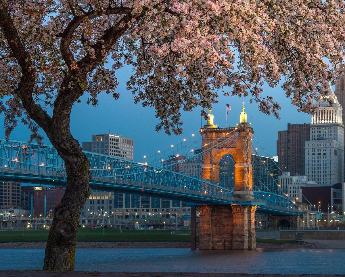 #TravelKY spring views like this will give way to summer soon but we'll enjoy them while we've got them. 😍 🌸 

📍 Roebling Bridge / @meet_nky  📸 jonreynoldsphoto