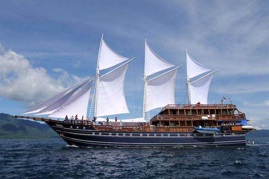 DivingRegister's tweet image. Amira: Amira Liveaboard, Indonesia The 52m M/SV Amira is a luxury liveaboard offering diving itineraries to the best sites in Indonesia. Amira and her crew are dedicated to superior service and [...] 

The post Amira appeared first on… Learn more.... dlvr.it/Sp1gkv