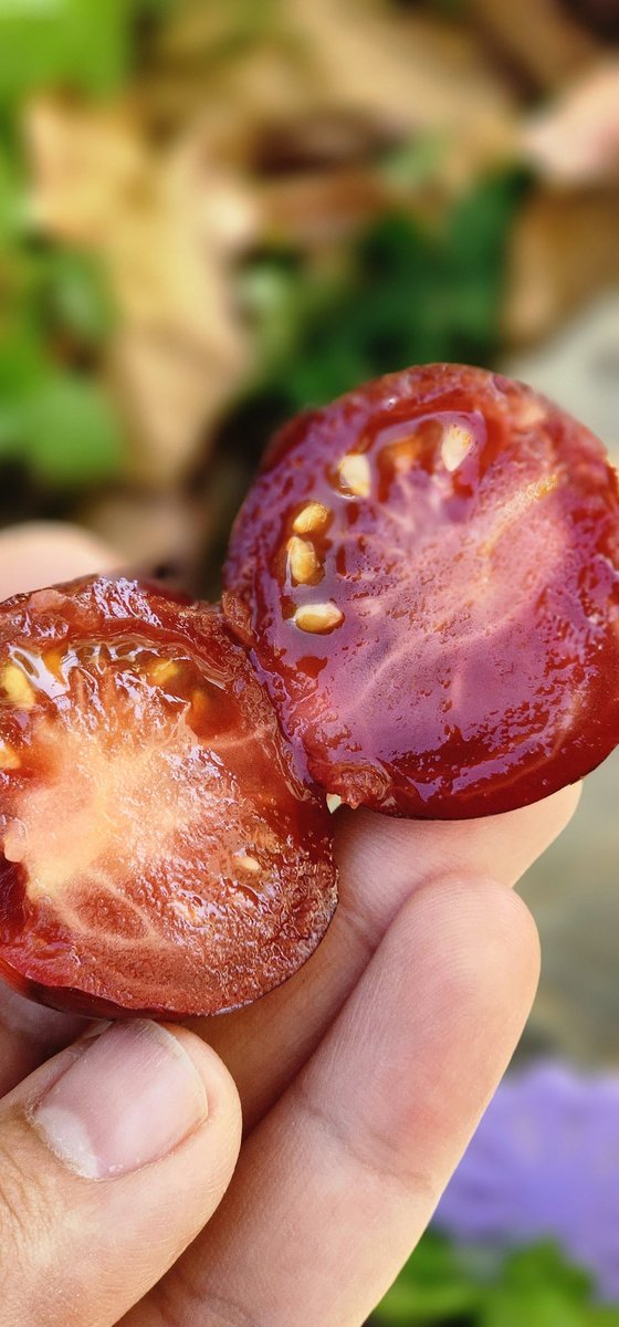 سبحان الله، الزراعه و الحصاد له طاقة إيجابية كبيرة💚🌿🌿
الحمدلله