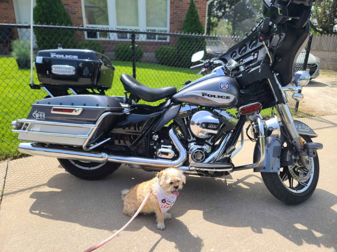 TPSMotorSquad's tweet photo. Spent some time at the Community Association of Riders with Disabilities (CARD) member’s open house. 

There were no horses for HM9 to try but he certainly wasn’t camera shy with his motor. https://t.co/suRhsDvzsu