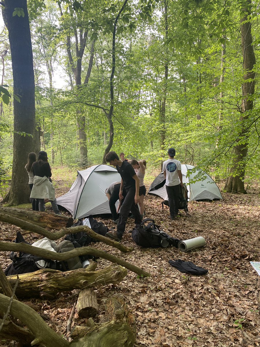 Erin Orens tweet media