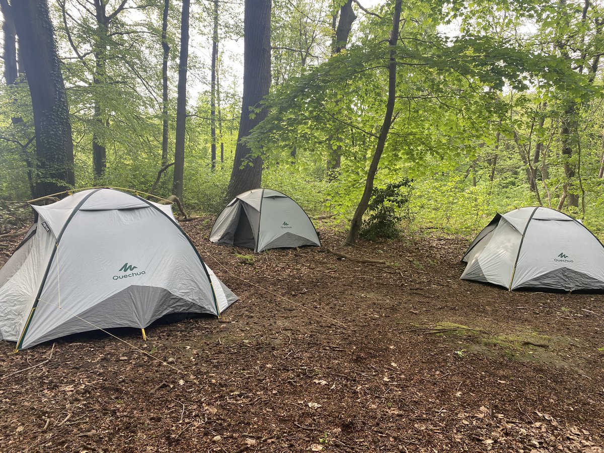 Erin Orens tweet media