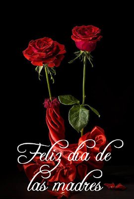 Deseo a todas mis amigas de Twitter un Feliz día de las Madres.