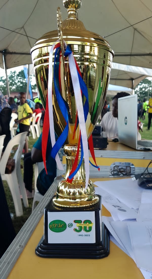 JESE_Uganda's tweet photo. The trophy awaits the winning corporate team! #JESEAt30 https://t.co/9VOCmNEYaL