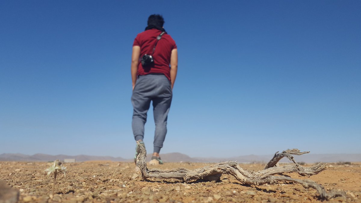 رشيد بونوارة (@rachid71874423) on Twitter photo 