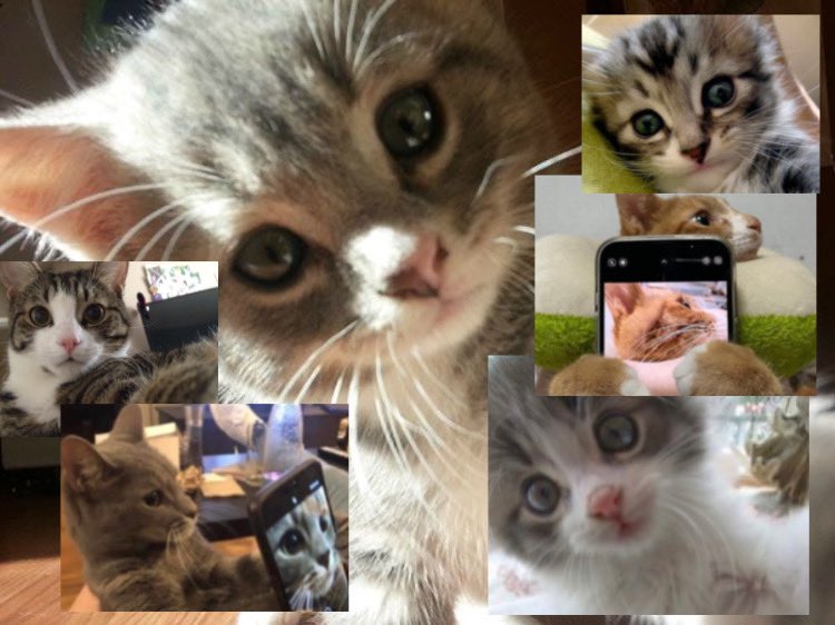 FFC_0915's tweet image. 아기틱톡커🤩