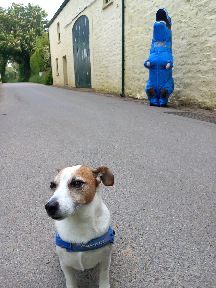 Great event this morning <a href="/TheDurrellChall/">DurrellChallenge2023</a> , the boy wasn't sure about Dino 🤣 well done all who finished 👏 beautiful day for it. <a href="/MiloShropshire/">Mister Milo</a> <a href="/TheOnlyGuru/">Binky</a> <a href="/doodlemoodle/">🐿🐿. Kate 🐿🐿</a> <a href="/AndreaLeSaint2/">Andrea Le Saint</a> <a href="/suedelacour/">sue de 🇯🇪🙂🌞💐</a> @rich_english <a href="/Honorary_Police/">Honorary Police</a> <a href="/3DEvents_/">3D Events</a> #runningdog