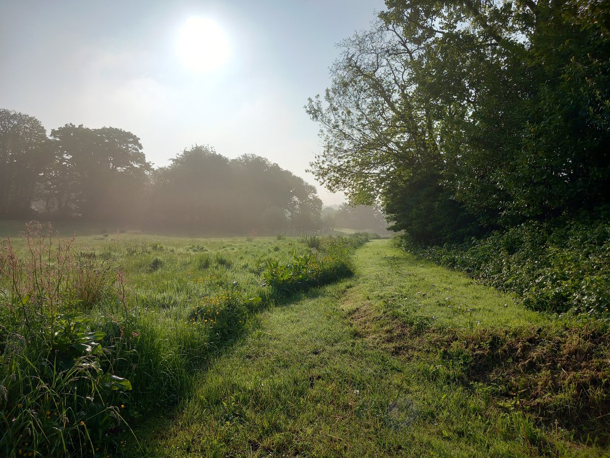 JJ Gallagher tweet media