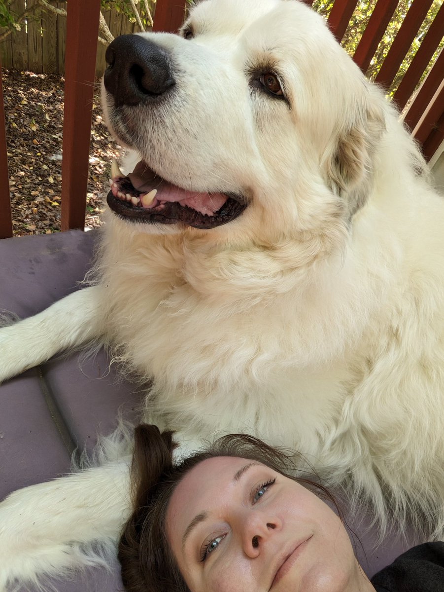 hellfrogger's tweet image. 