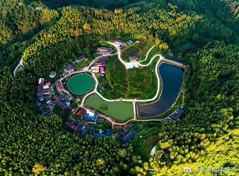 It’s known as "the hometown of China's #pheasant", Mingxi is one of the eight migratory bird migration routes in the world. With the beautiful mountains and rivers, charming scenery, Mingxi is a good place for watching bird and take photos.
#Fujian #nature #bird #travel