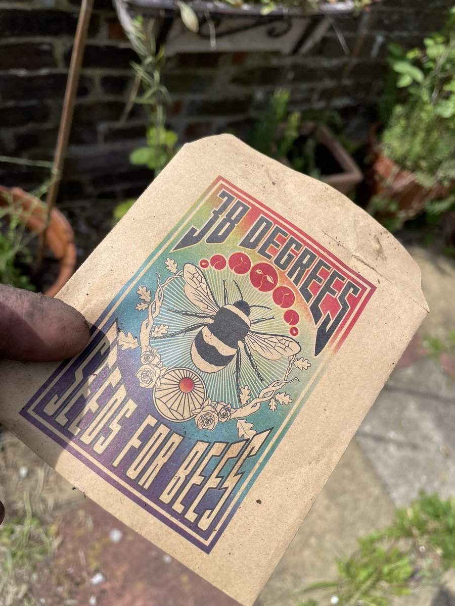 shaunyoung_'s tweet image. Spent a pleasant few hours having a #garden tidy, planting in our tomatoes &amp;amp; our #SeedsForBees from @38degrees, and using our cute ‘cat pot lifters’ we treated ourselves to….and our #Acer in all its glory….🌱🍅🌸🌺🌼🐝🐱🌤️😎 #SundayGardening #SunnyGarden #SunnySouthsea