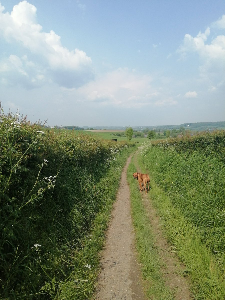 FerencKoolen's tweet photo. Zuid Limburg... Vanuit Epen naar Teuven (Bel)
#diependal
@magnifiekZL https://t.co/fPvii39Hi7