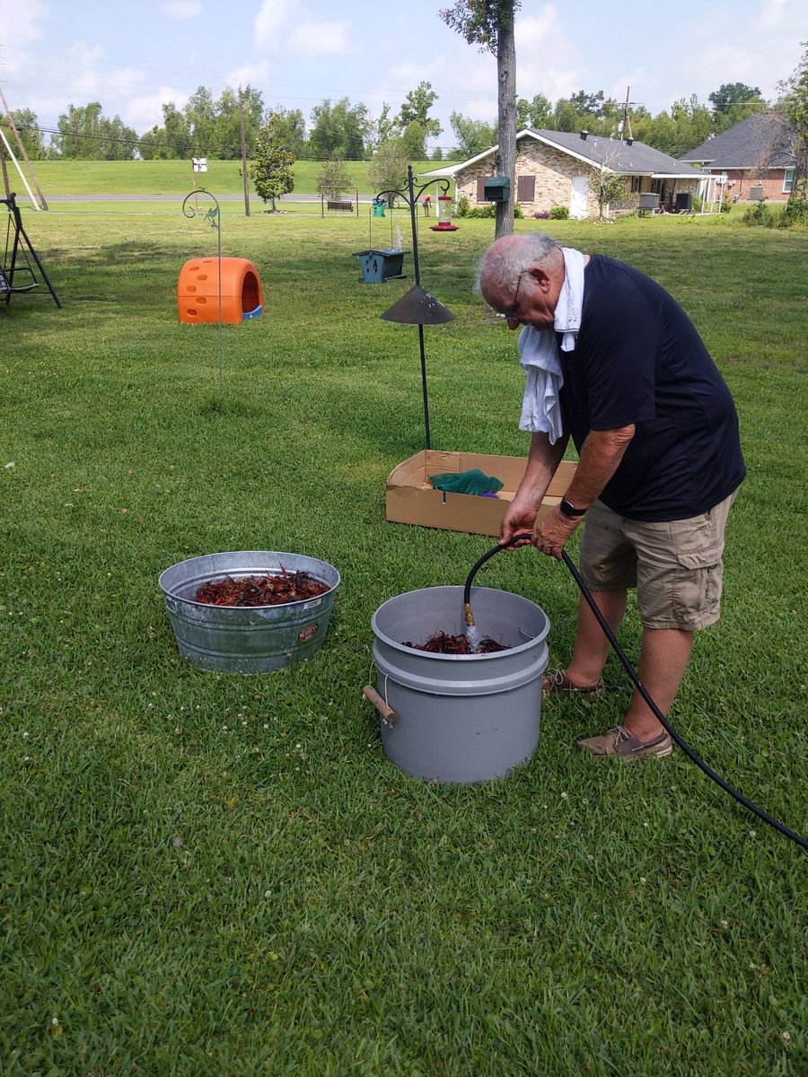 fireredlily's tweet photo. Washing the crawfish to get the mud off! https://t.co/vjFEQpMw6K