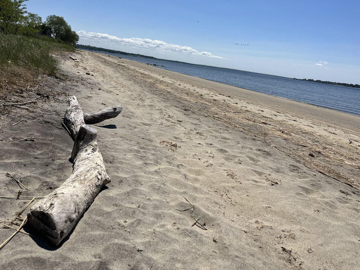 chrislb104's tweet photo. Beach clean complete. Calm,clear, and blues chasing the little ones to shore. Happy Mothers Day. @RILitterPickers @2minuteHQ @RhodeIslandDEM #buttonwoodsbeach https://t.co/r32aKgnfn8