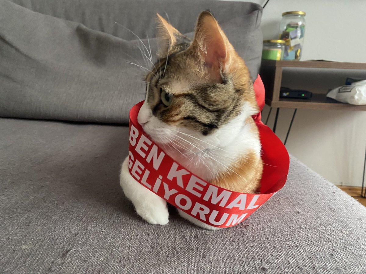 çanım tetemm hayti