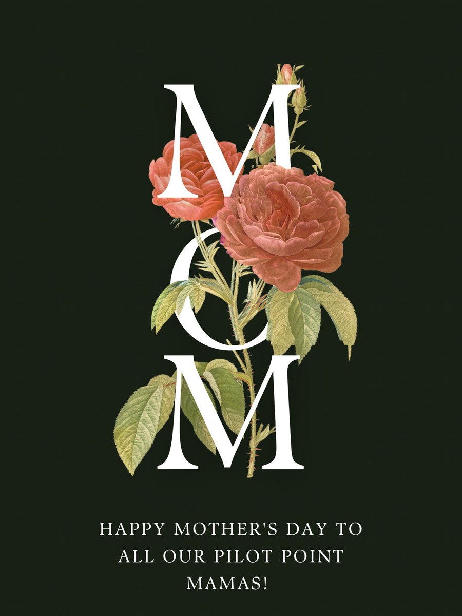 Pilot Point Lady Cat Softball tweet media