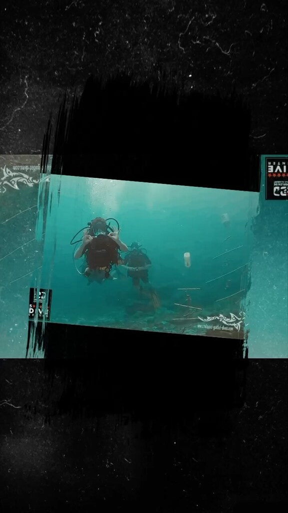 Your place for all your diving needs at Curaçao …😎🇨🇼🏝#scuba #scubadiving #relaxedguideddives #travel #explore #discover #curacao #fun #duiken #tauchen #diving #tripadvisor #cressi #oceanreef  #destination #openwaterdiver #duikeninbeeld #besttravel #t… instagr.am/reel/CsO5Q7xLJ…