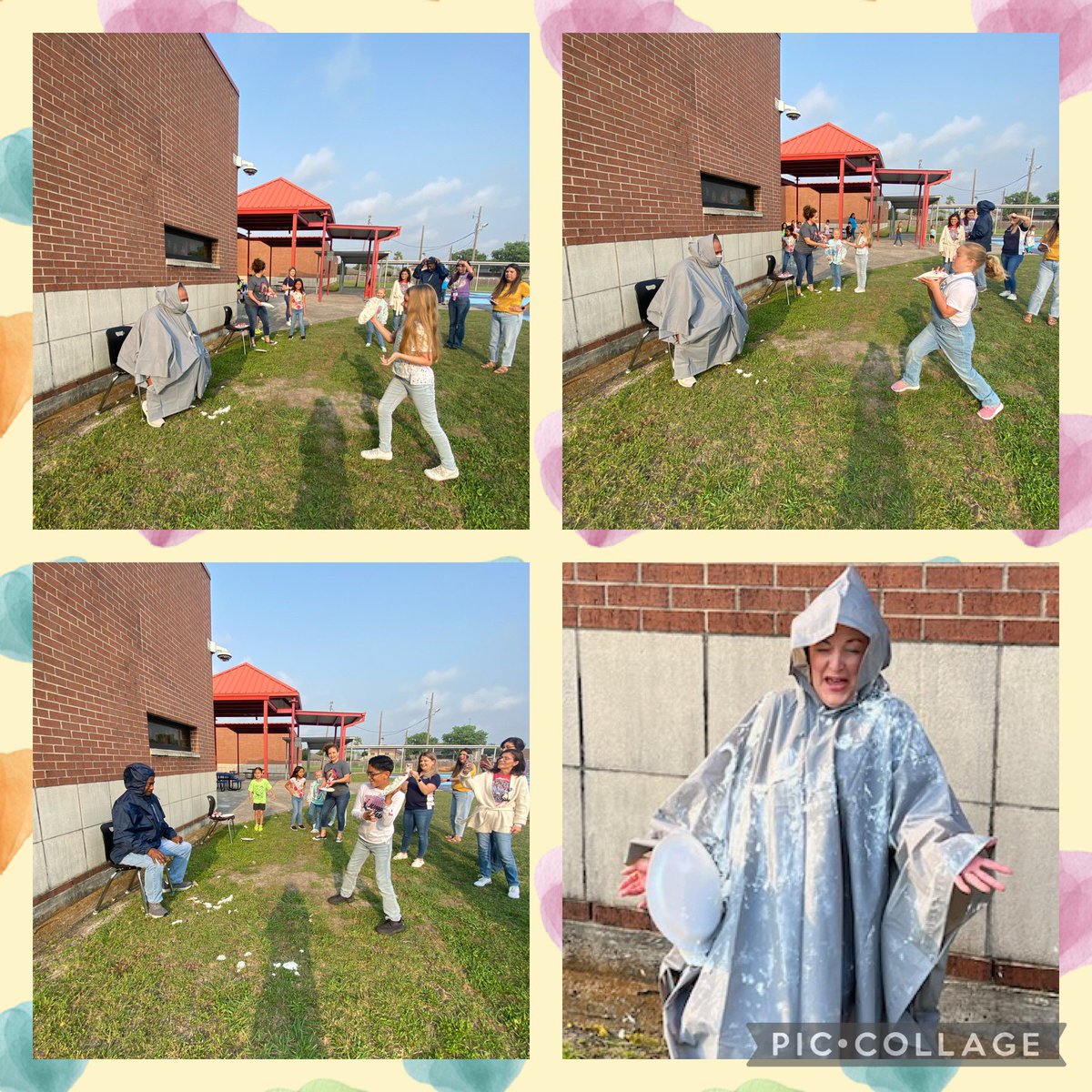 Ella Barnes Stars tweet media