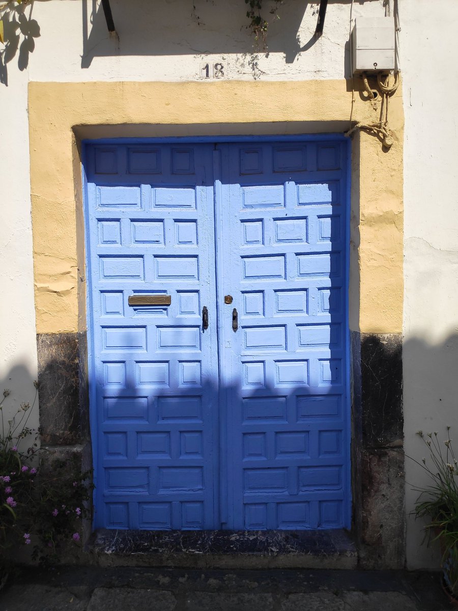 $ok_display tweet media