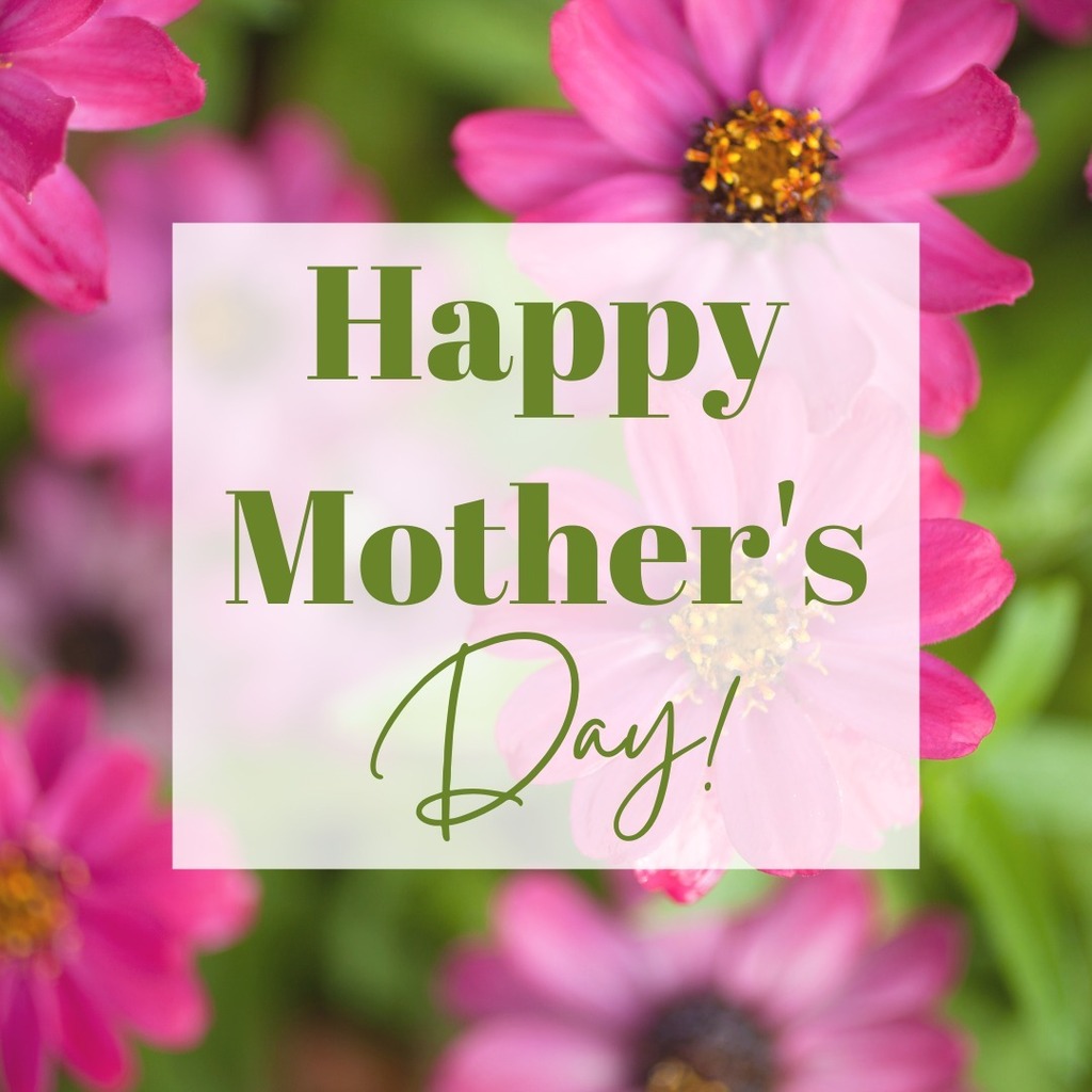 Wheaton Park District tweet media