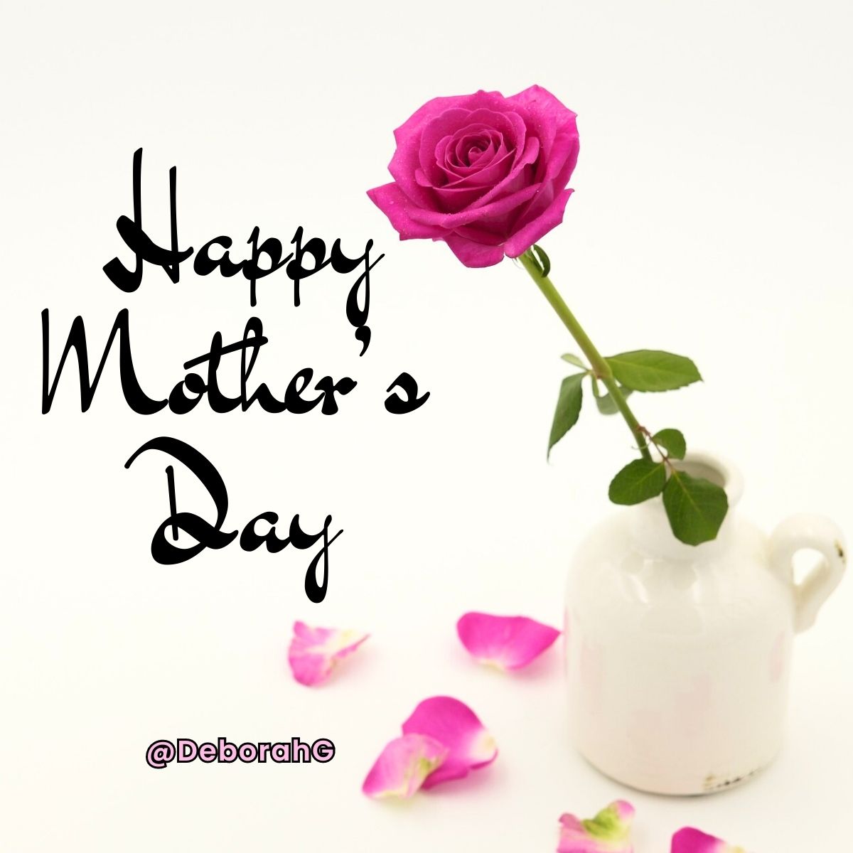 deborahgardner (@deborahgardner) on Twitter photo 