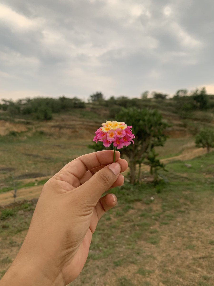 Días cálidos en el valle de Oaxaca 🌸 ya empieza a reverdecer con las lluvias