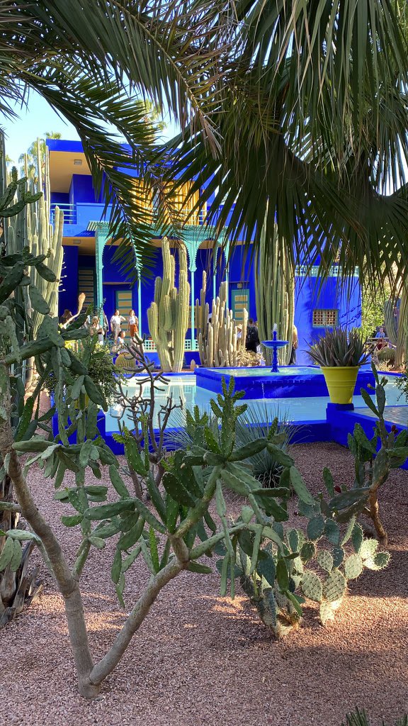 Adil Ouzzane tweet media