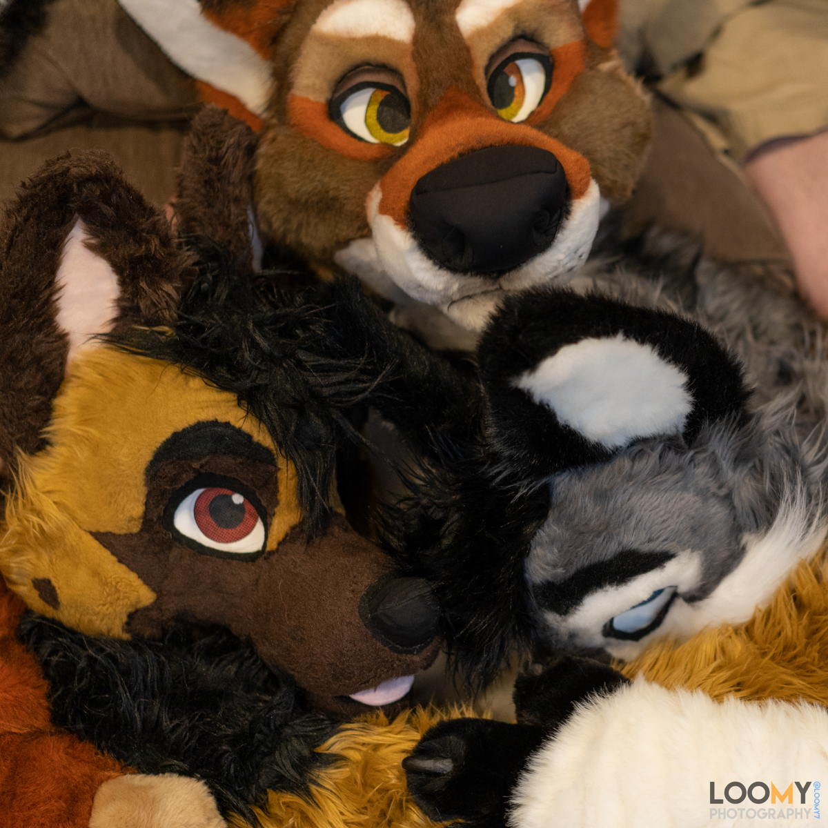 Loomy7's tweet photo. https://t.co/5t5y0QRPLT
