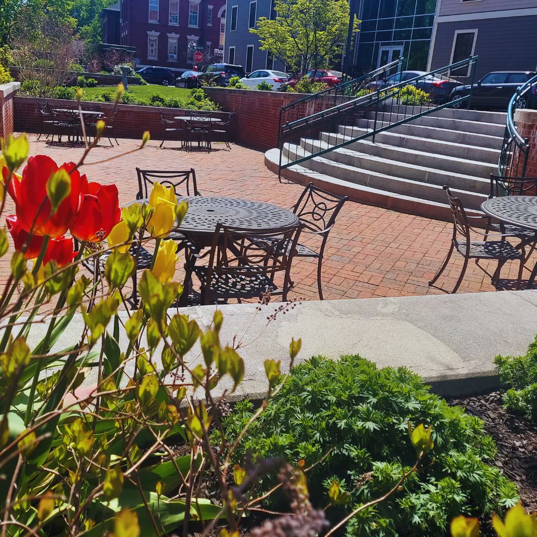 BeverlyPublicLibrary tweet media