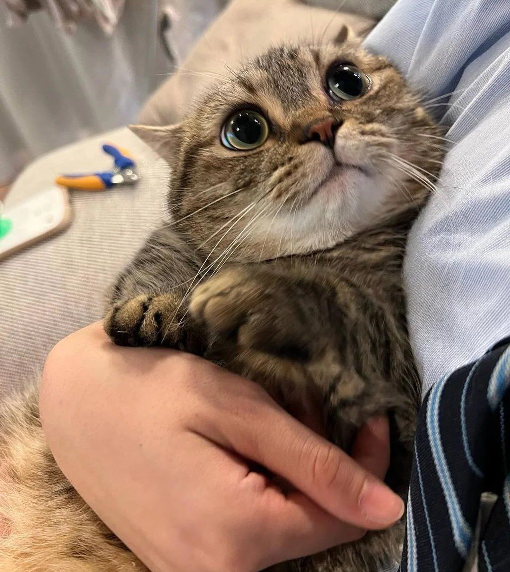 - Как конец учебного года????