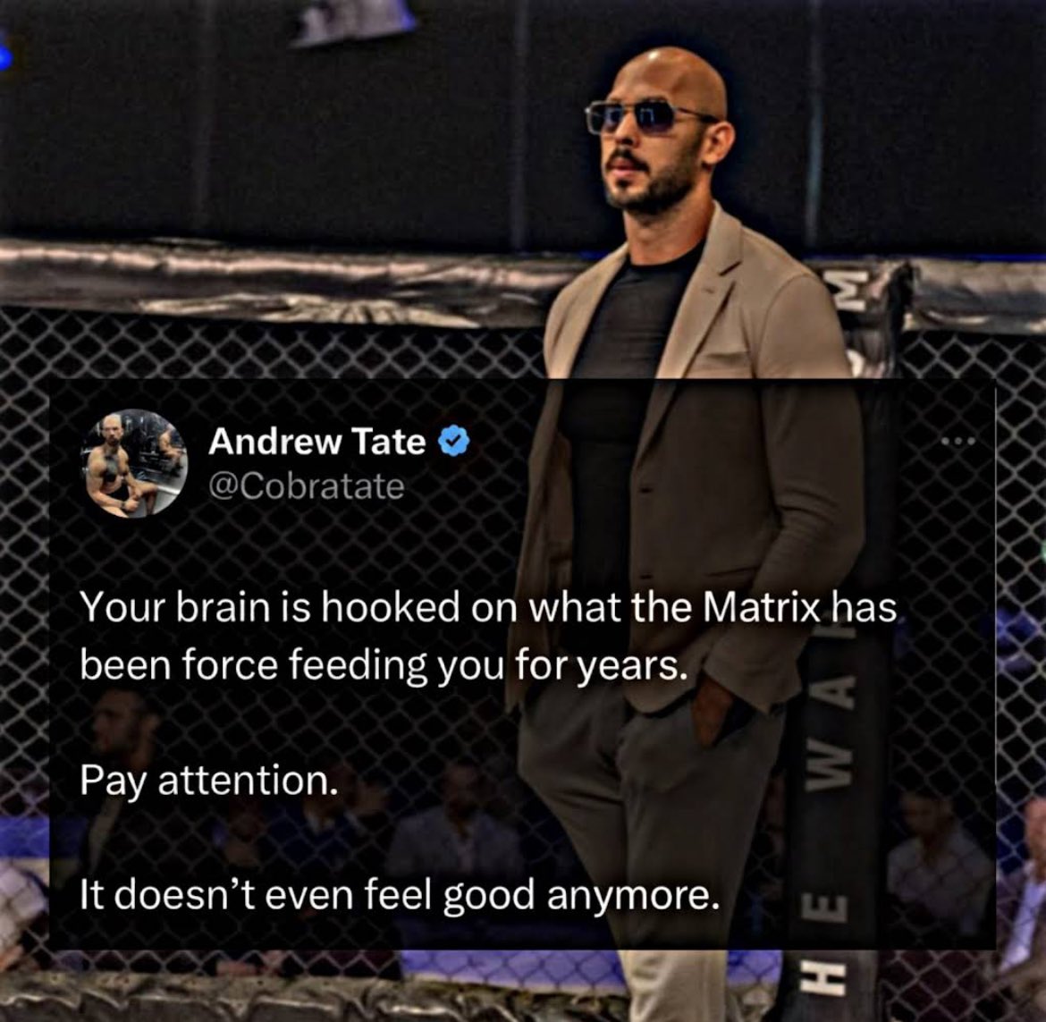 Tate_Modern tweet media