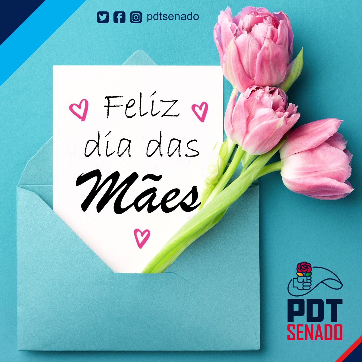 PDT Senado tweet media
