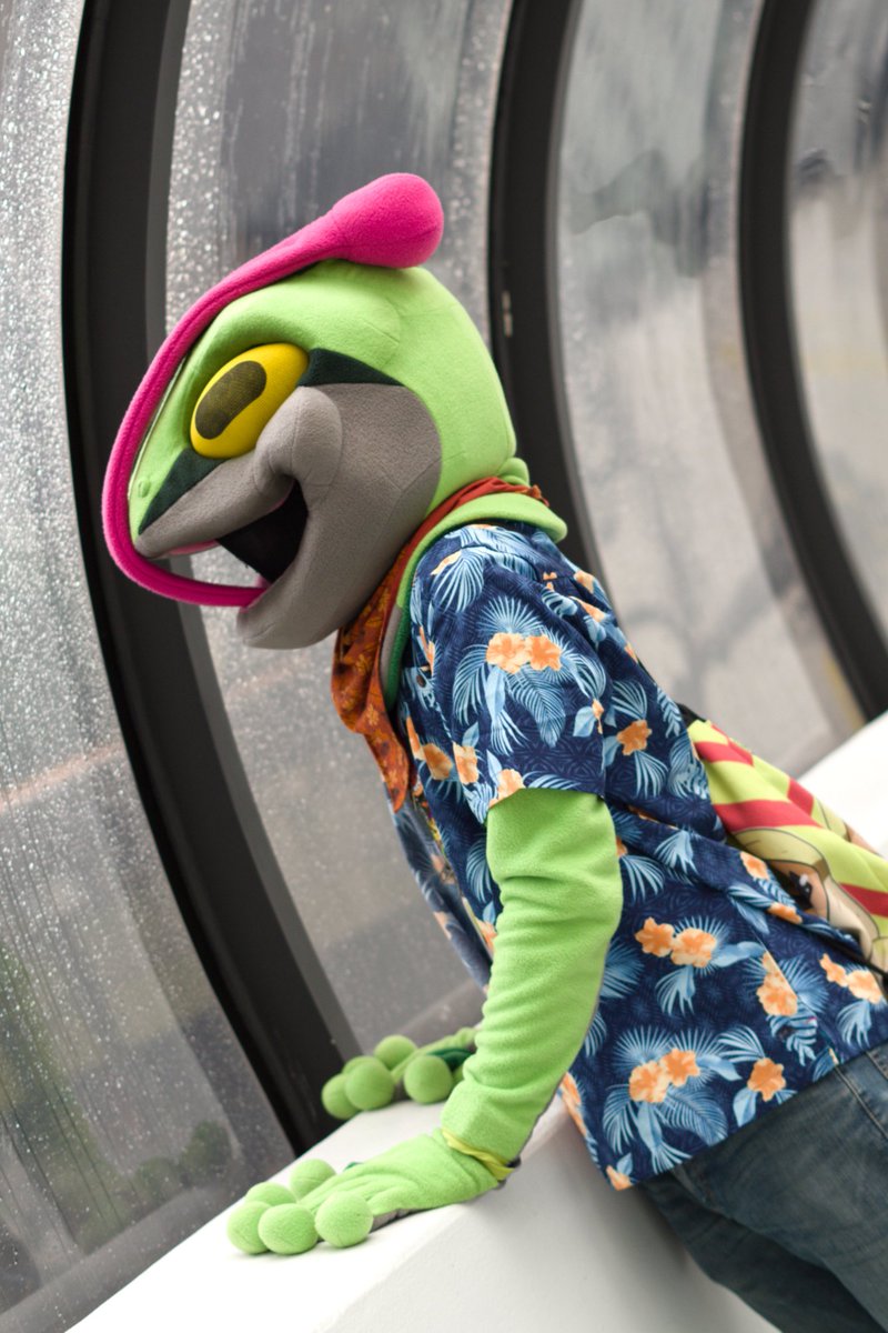 ShutterSnoot tweet media