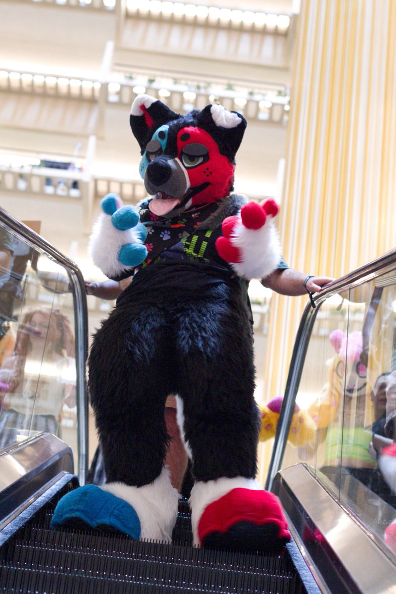 ShutterSnoot tweet media