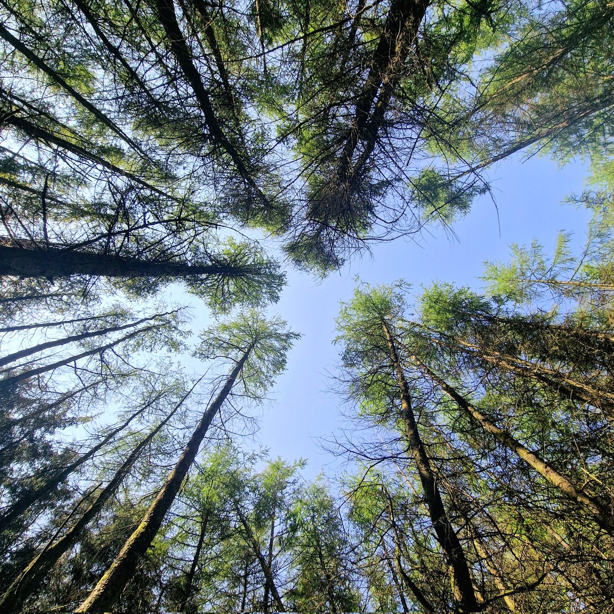TutorStacey_EP's tweet photo. Exploring new places this wknd 🎒🔎

Love just turning up &amp; walking, collecting things for our first attempt at mini eco-systems. 

#ExploringWithKids #ConnectingWithNature #Ecosystem https://t.co/nTdKStNZuL
