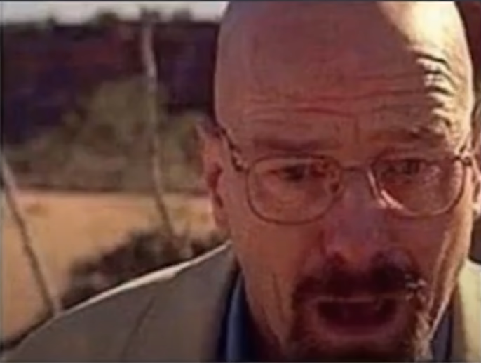 Birbgang tweet media