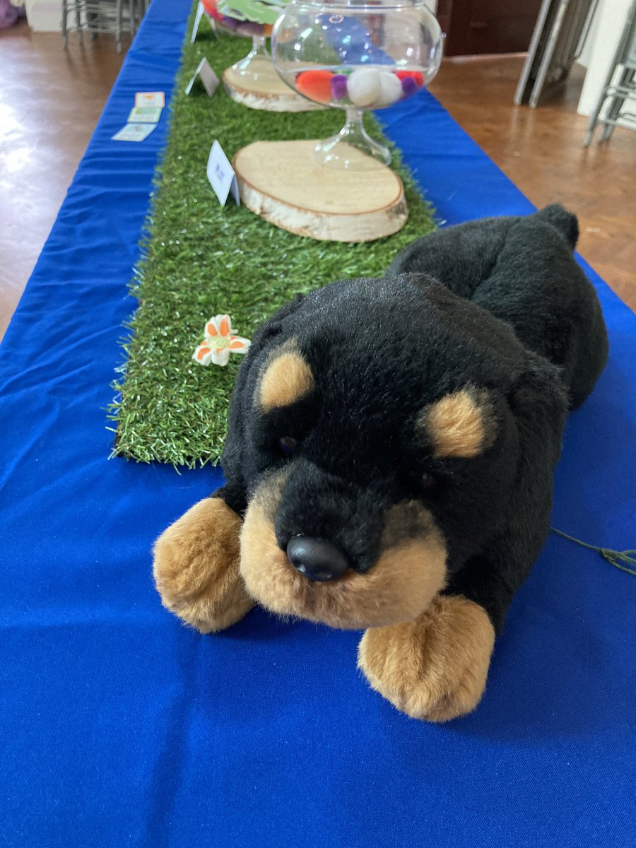 If you’ve visited us at the @HighestPoint_ #BigFamilyDayOut 🥳 and lost this cuddly little pup then we’ve handed him over to the staff in the #WilliamsonPark coffee shop. #LostToy #INeedMyOwner Please RT to help me find my owner. 🐶#Lancaster