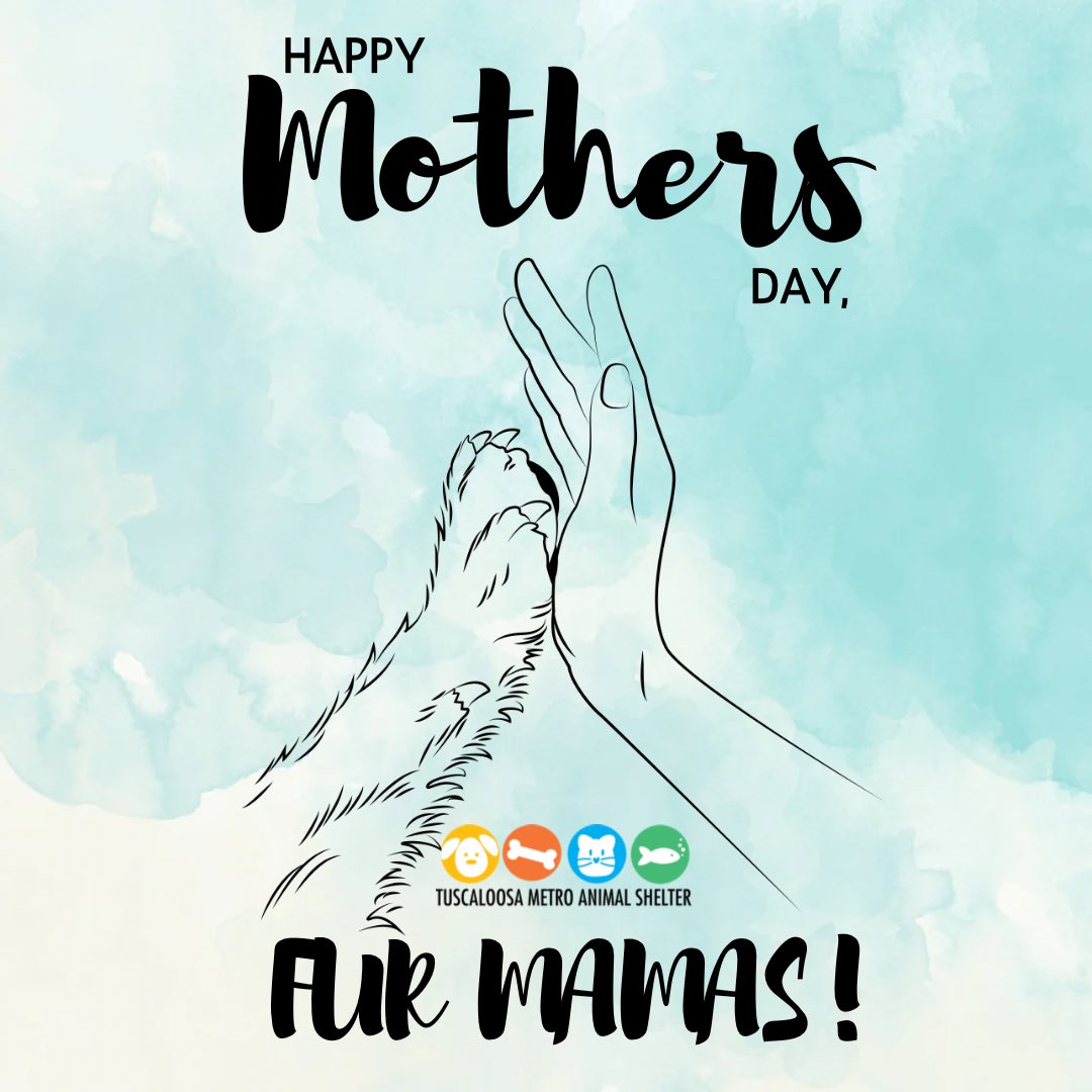 Happy Mothers Day to all the best fur mamas out there 🤍🐾🐶😻 

From the TMAS crew 💐