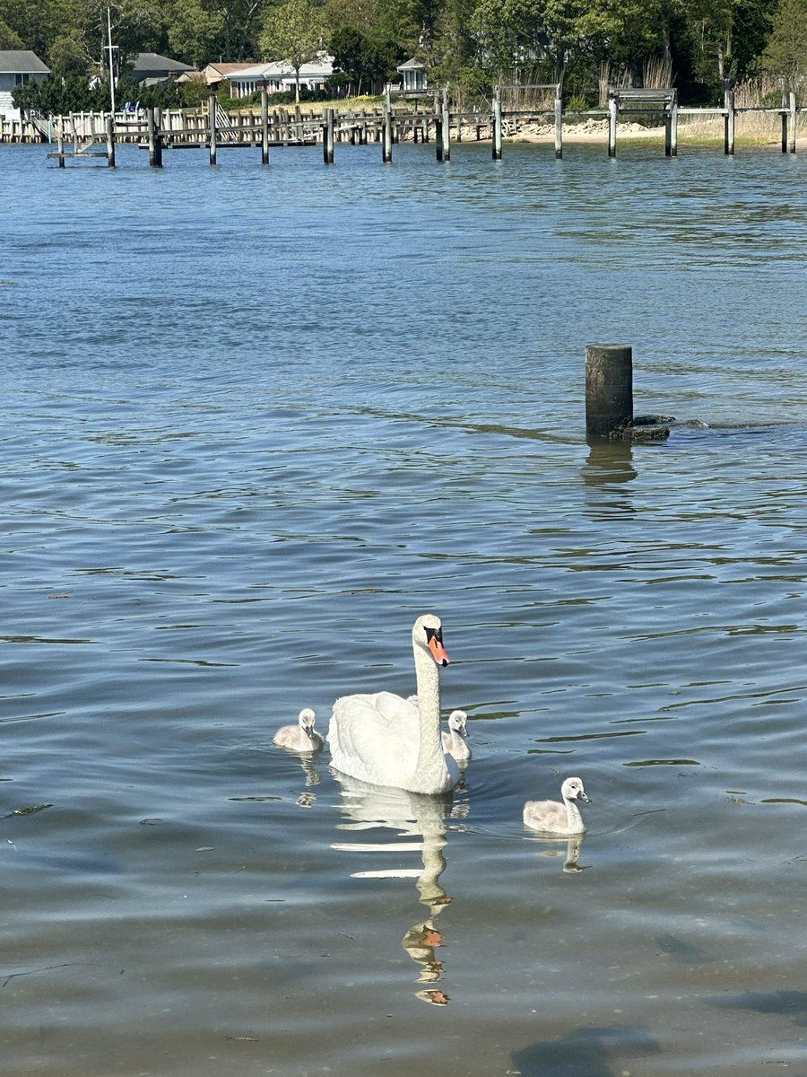 Happy Mother’s Day! Celebrating all the mammas today and every day.