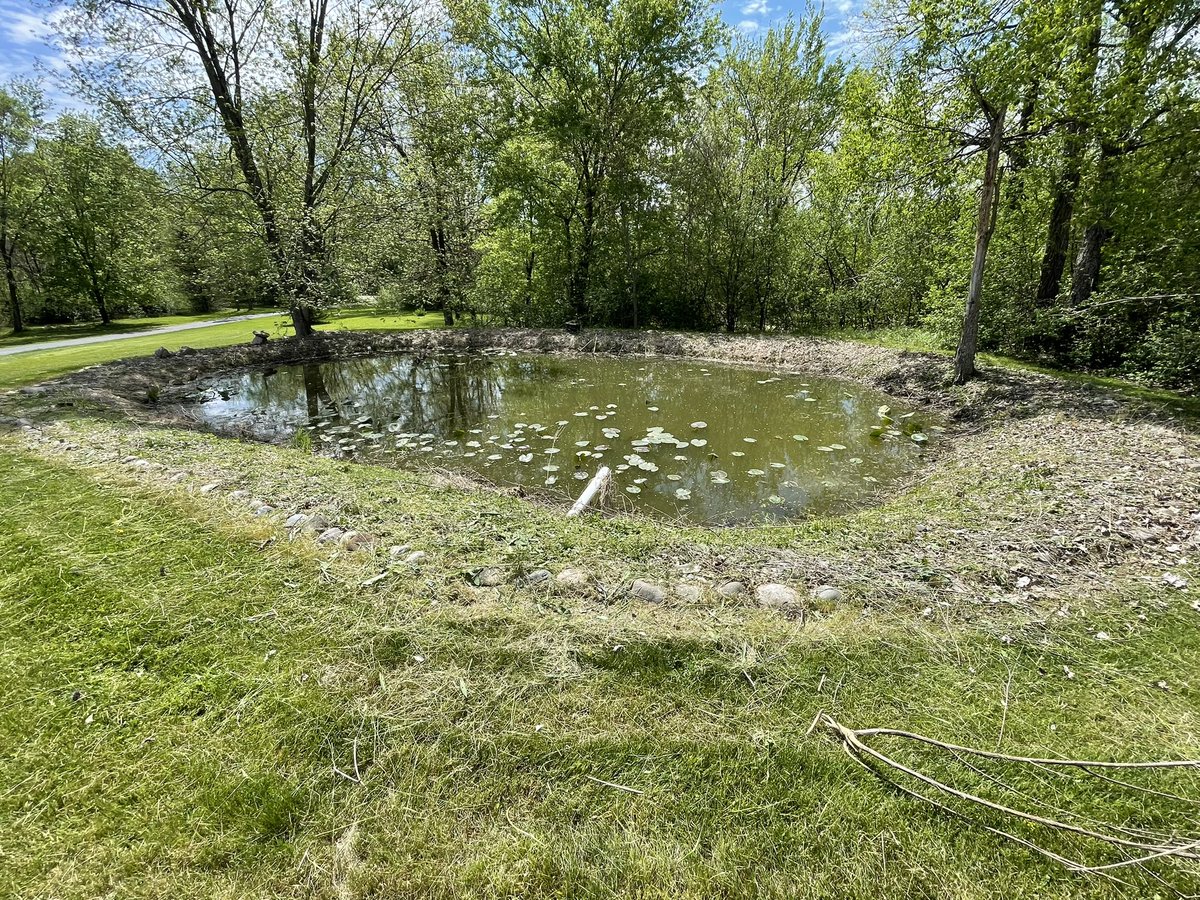 Turned my attention to the pond and getting it cleaned up and ready. This afternoon we’re planing red hearted Althea trees around it and creating a reflection area because this is where my Kaylee likes to spend her time. At least it’s cooler out today.