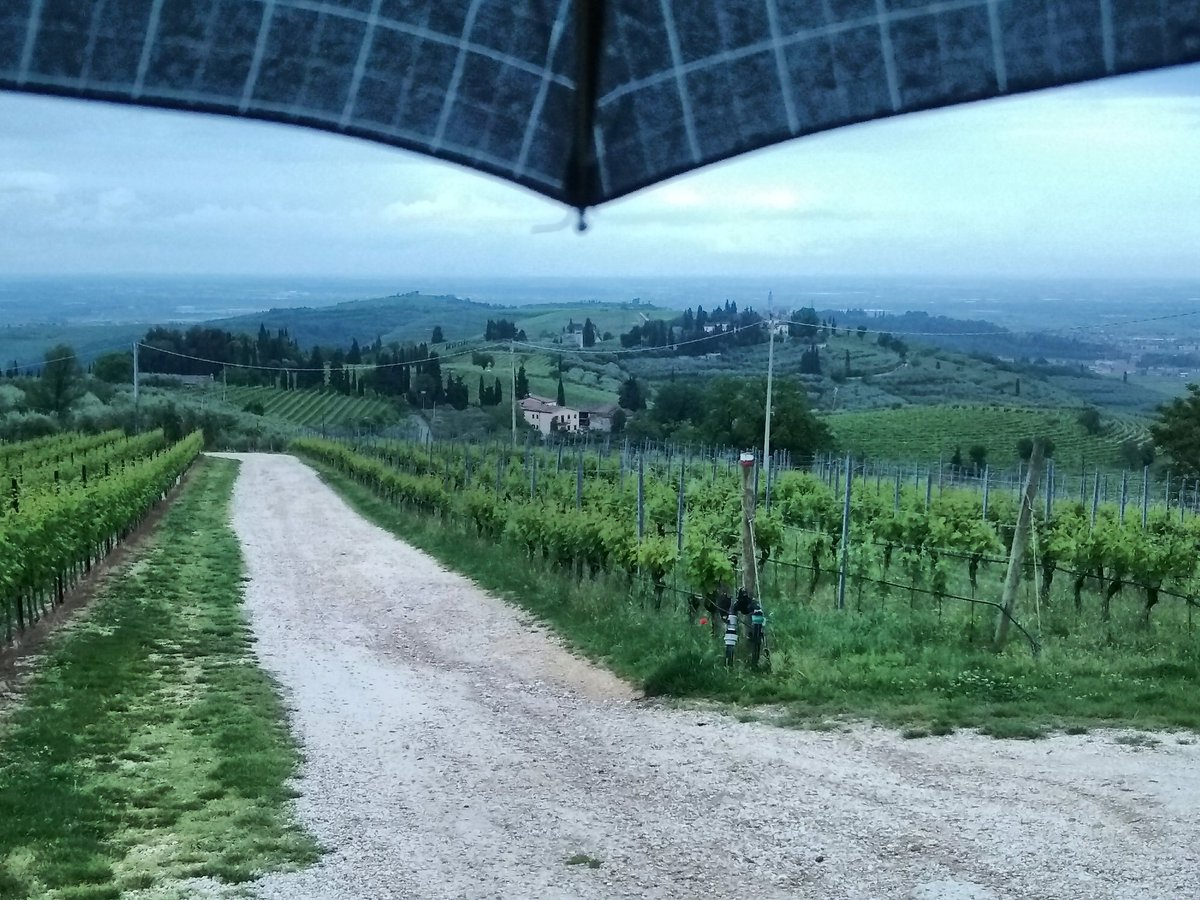 guidovesentini's tweet photo. Castello di Illasi (Illasi, VR -Veneto, Italy)

Notizia del giorno: piove... https://t.co/gwkxvhjlcv